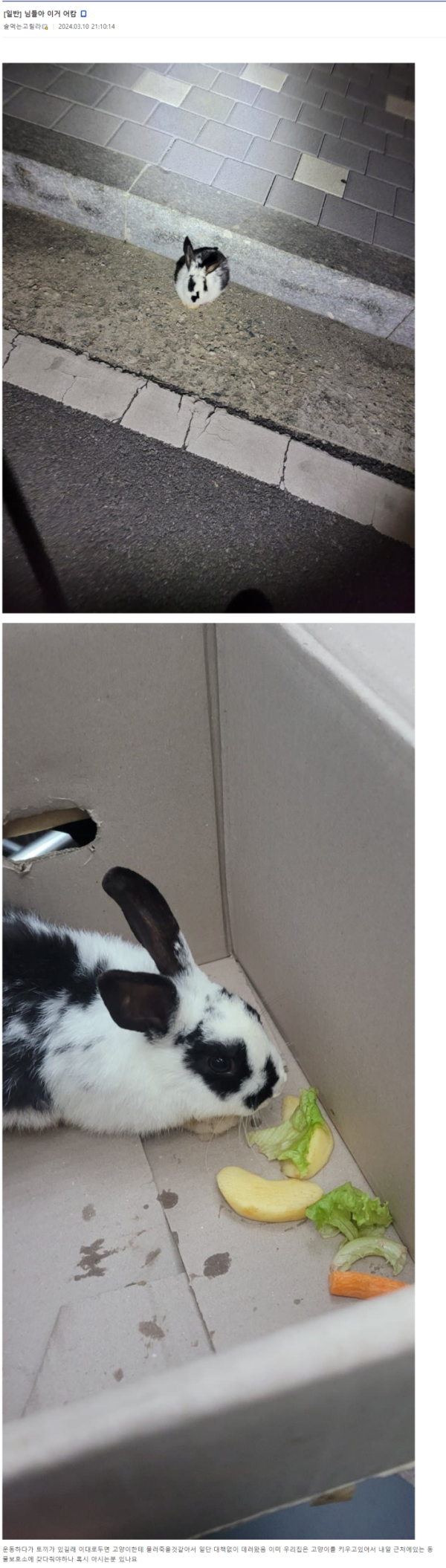 sm_4834d45f1c53e00db3a857836381a4a5.png
