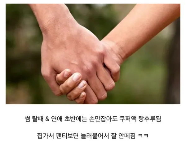 sm_65931e7a28484152316a2e79c4a40ade.webp