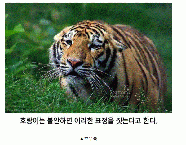 sm_8621dd2de9bff768470d5c380e71a0bb.gif