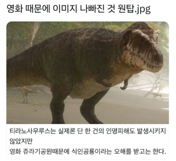 sm_bdbbc392d77400815da31ff7448eda5c.png